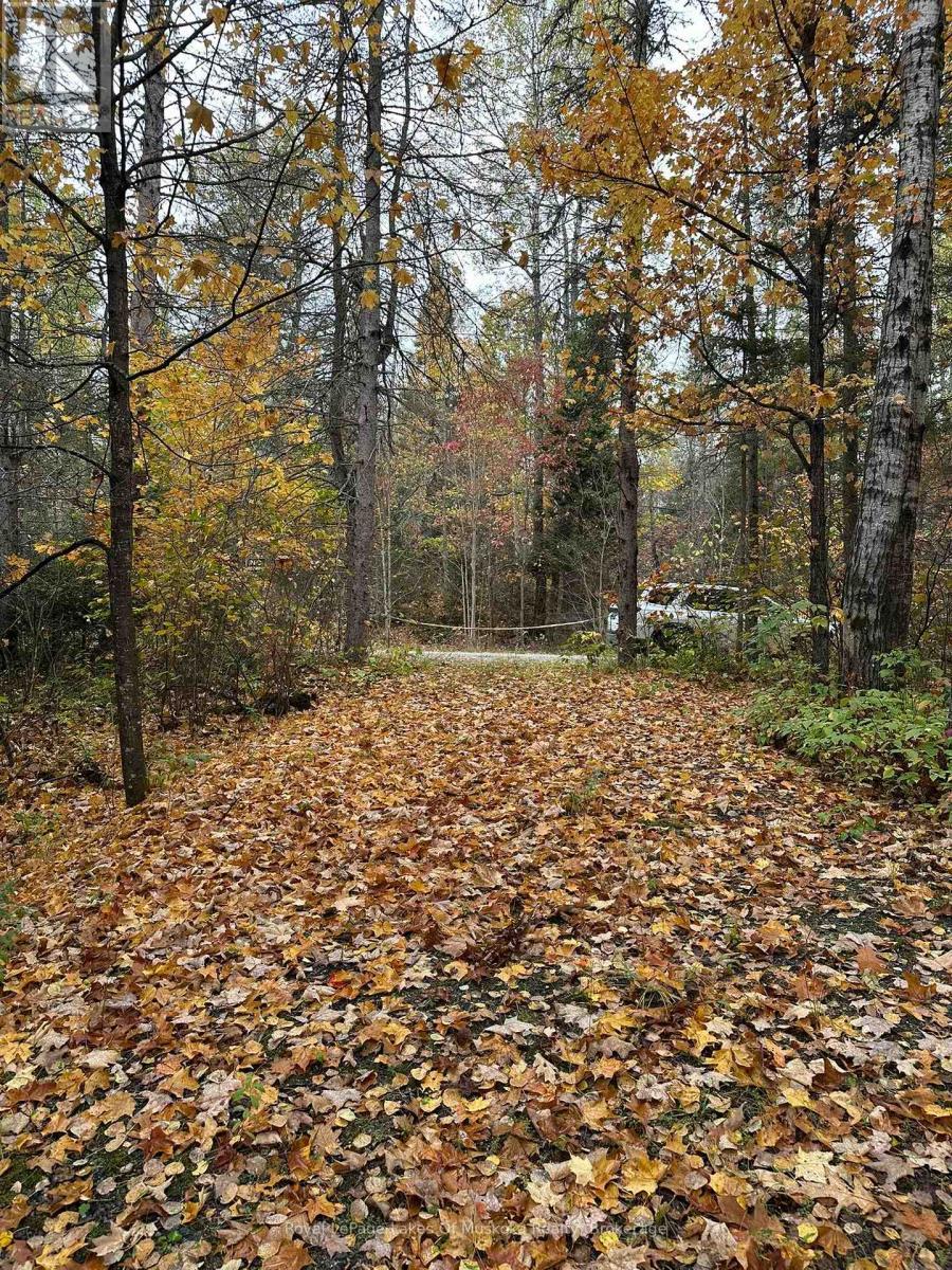 












77 GRINDSTONE ROAD

,
Magnetawan,




Ontario
P0A1Z0

