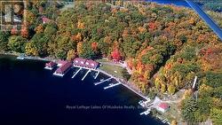 Waterfront with covered docks, dock and boathouse