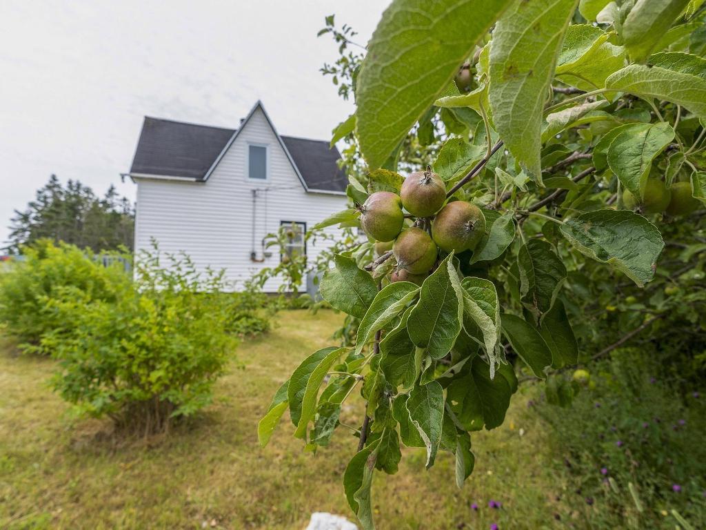 












140 Hartling Road

,
West Quoddy,




NS
B0J 2R0

