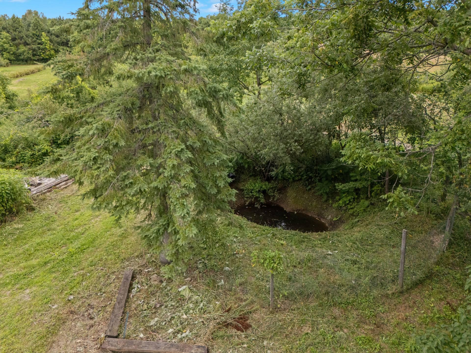 









223Z


Ch. de Richford

,
Frelighsburg,







QC
J0J1C0

