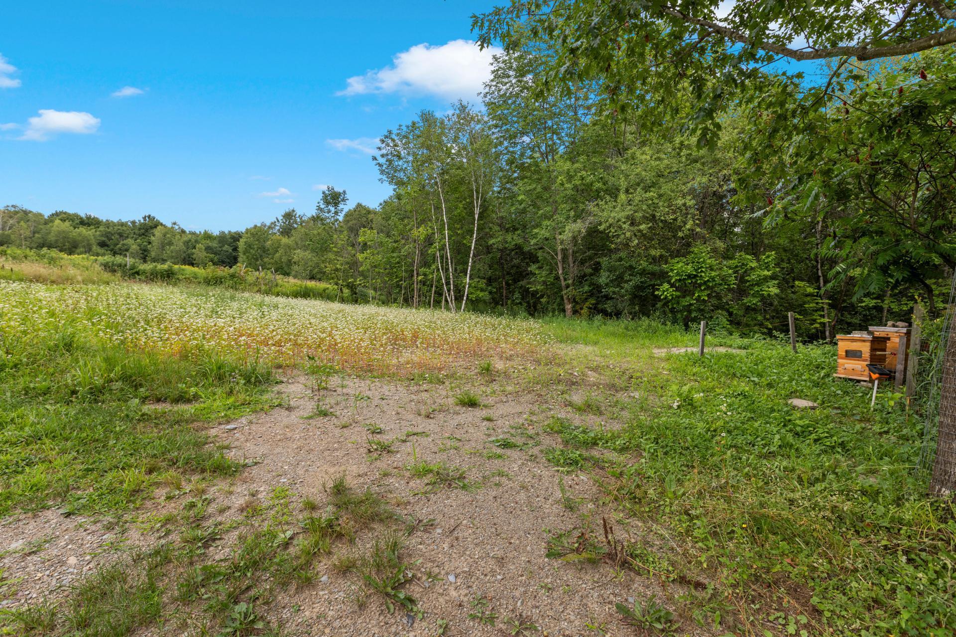 









223Z


Ch. de Richford

,
Frelighsburg,







QC
J0J1C0

