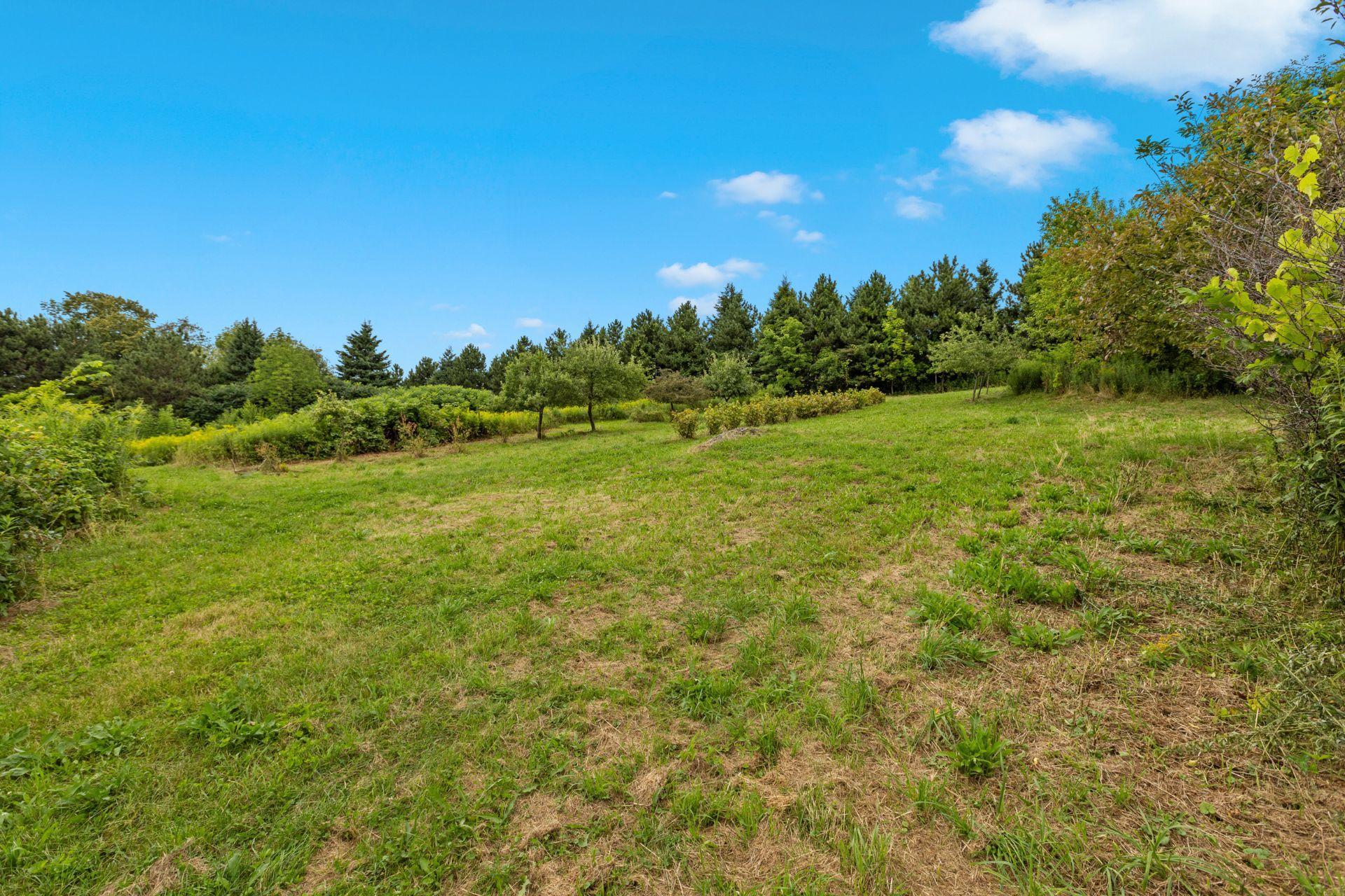 









223Z


Ch. de Richford

,
Frelighsburg,







QC
J0J1C0

