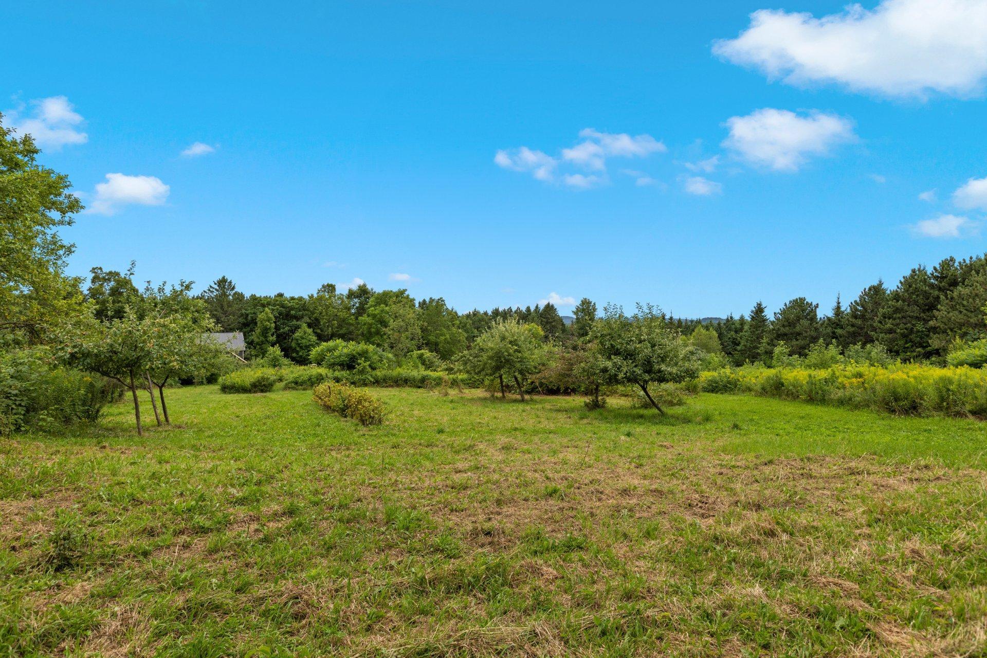 









223Z


Ch. de Richford

,
Frelighsburg,







QC
J0J1C0

