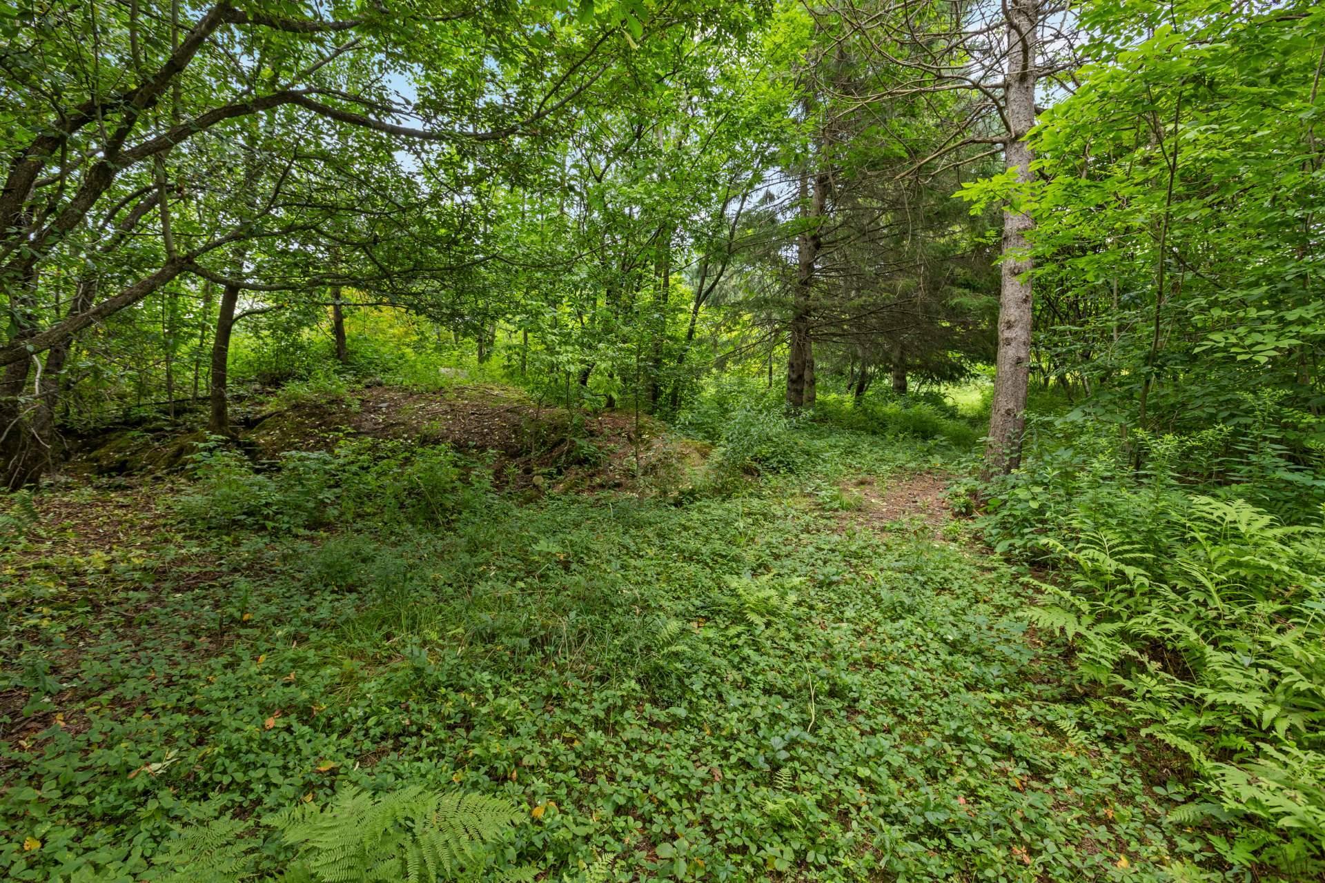 









223Z


Ch. de Richford

,
Frelighsburg,







QC
J0J1C0

