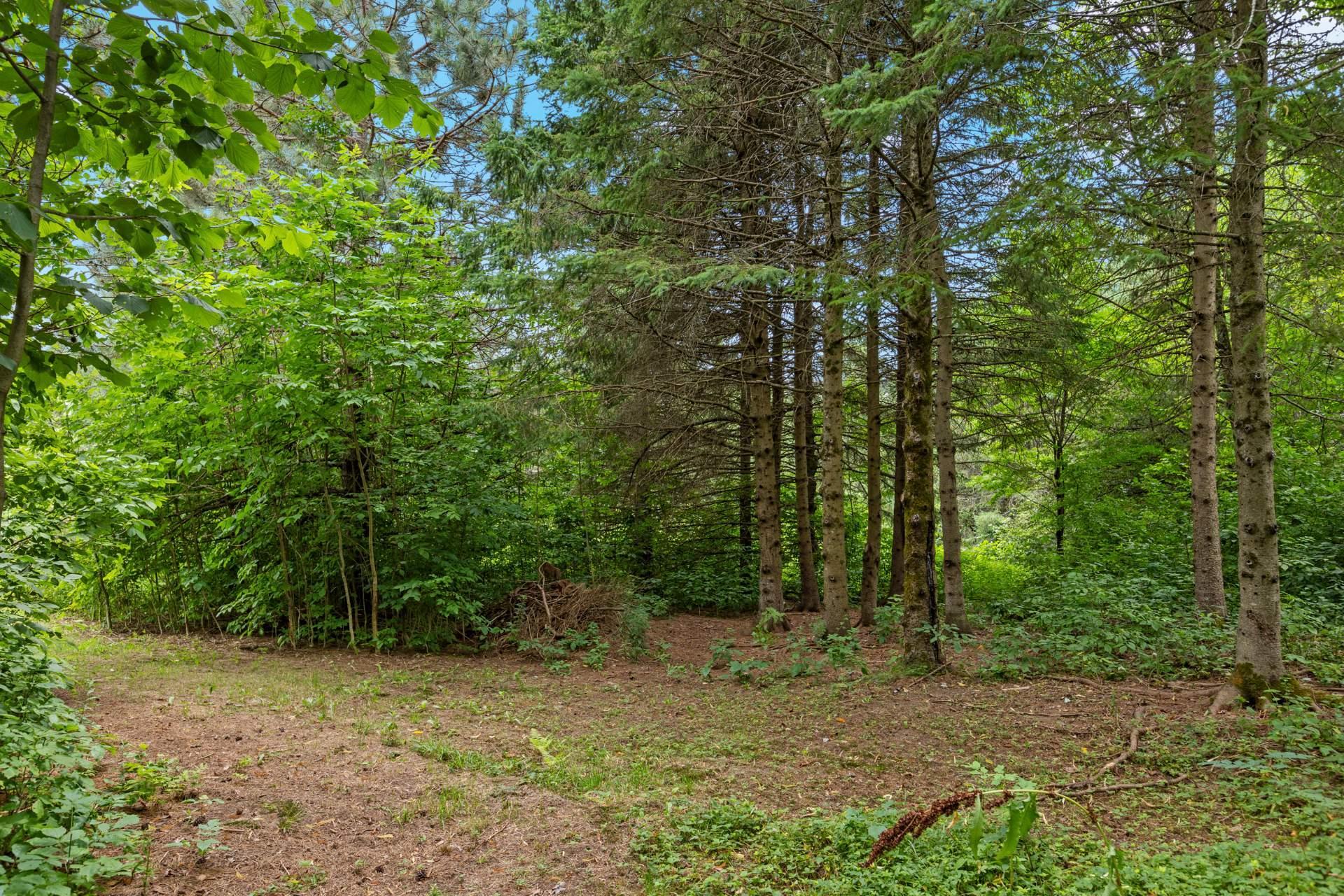 









223Z


Ch. de Richford

,
Frelighsburg,







QC
J0J1C0

