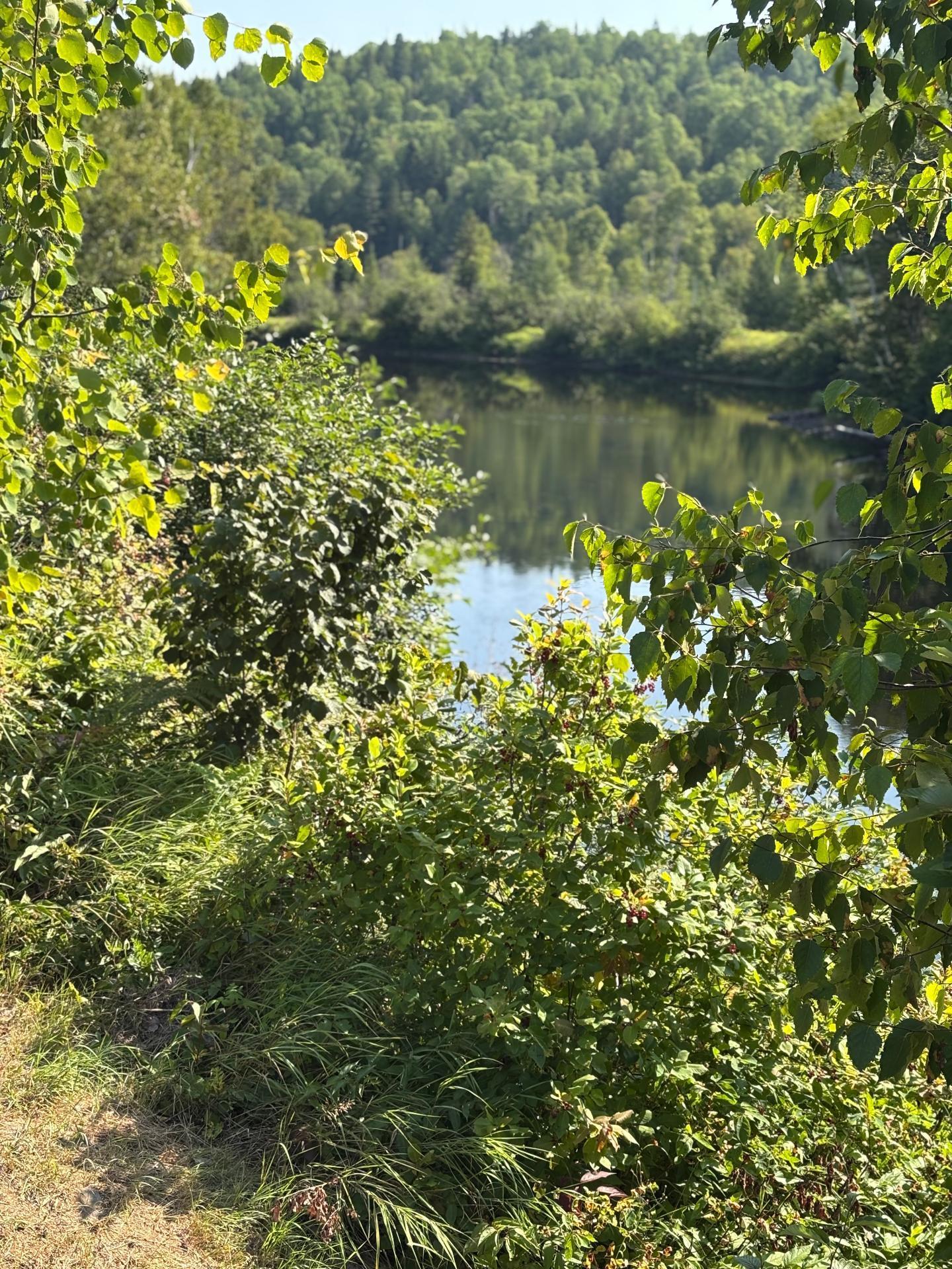 












Rg du Sud-Est

,
La Bostonnais,







QC
G9X0A7

