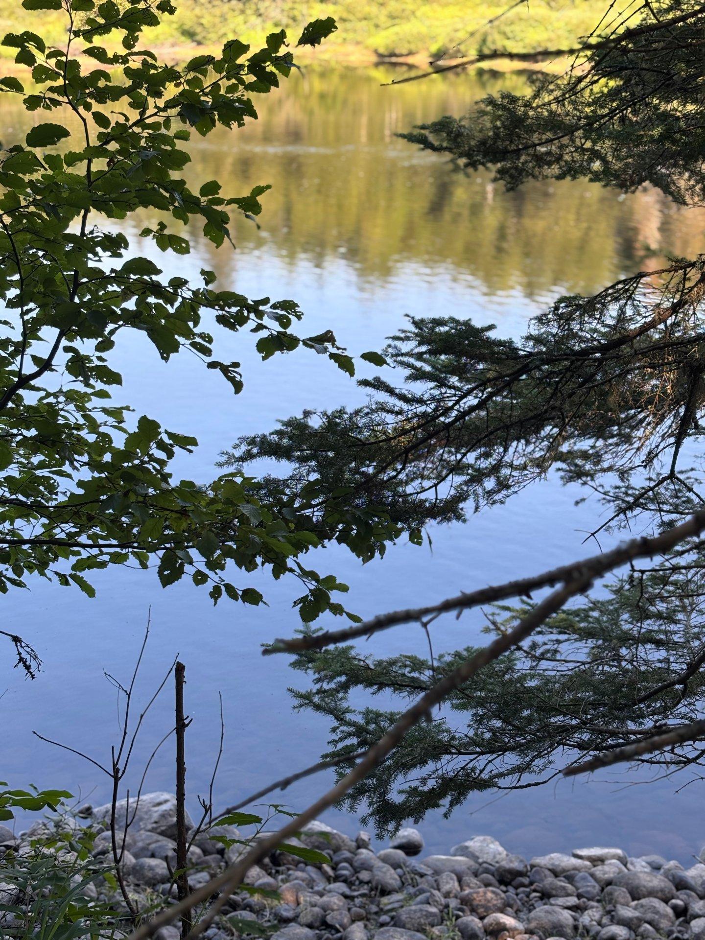 












Rg du Sud-Est

,
La Bostonnais,







QC
G9X0A7

