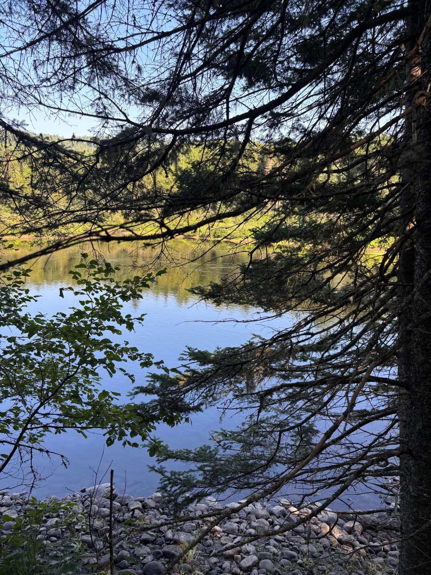 












Rg du Sud-Est

,
La Bostonnais,







QC
G9X0A7

