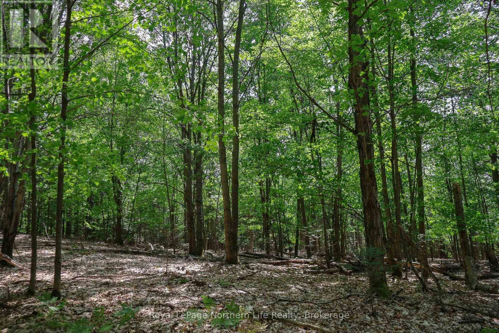 












LOT 12 SOUTH SHORE ROAD

,
East Ferris,







Ontario
P0H1B0


