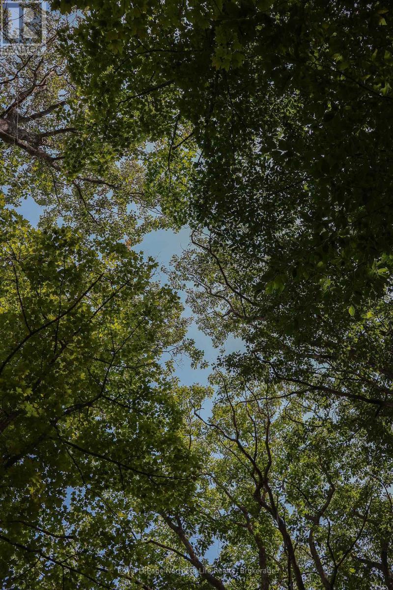 












LOT 12 SOUTH SHORE ROAD

,
East Ferris,







Ontario
P0H1B0


