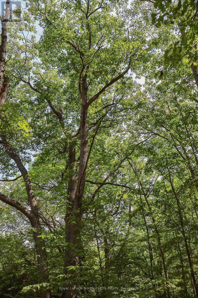 












LOT 12 SOUTH SHORE ROAD

,
East Ferris,







Ontario
P0H1B0

