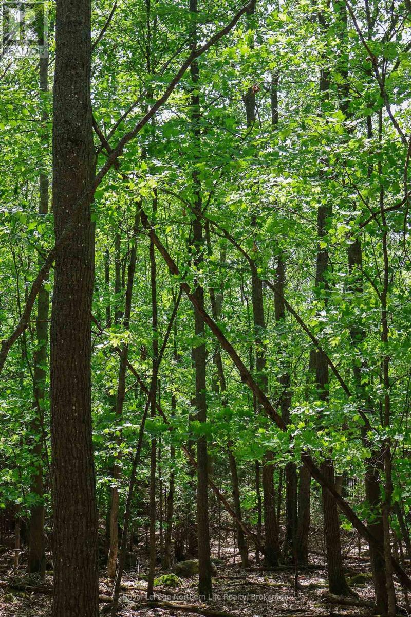 












LOT 12 SOUTH SHORE ROAD

,
East Ferris,







Ontario
P0H1B0

