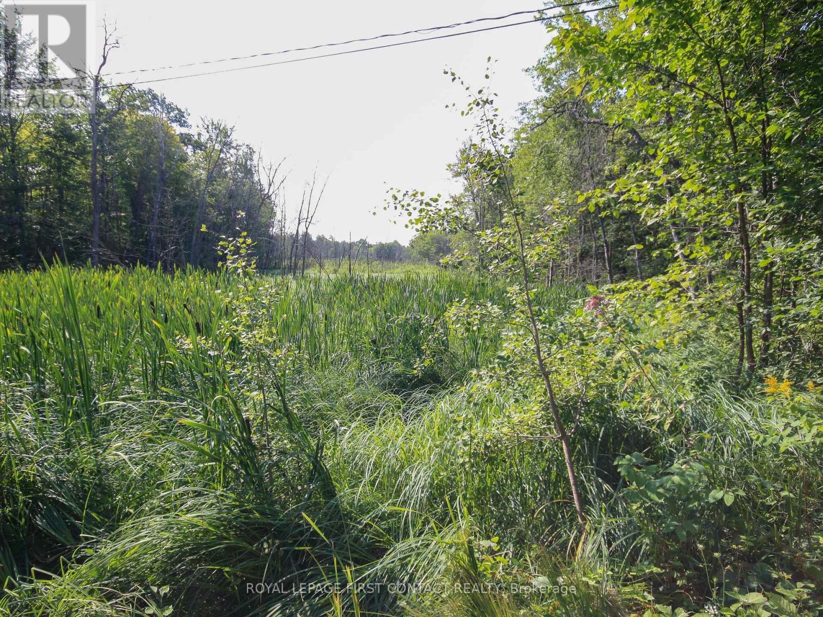 












30 BIRCH ACRES DRIVE

,
Georgian Bay,







Ontario
L0K1S0

