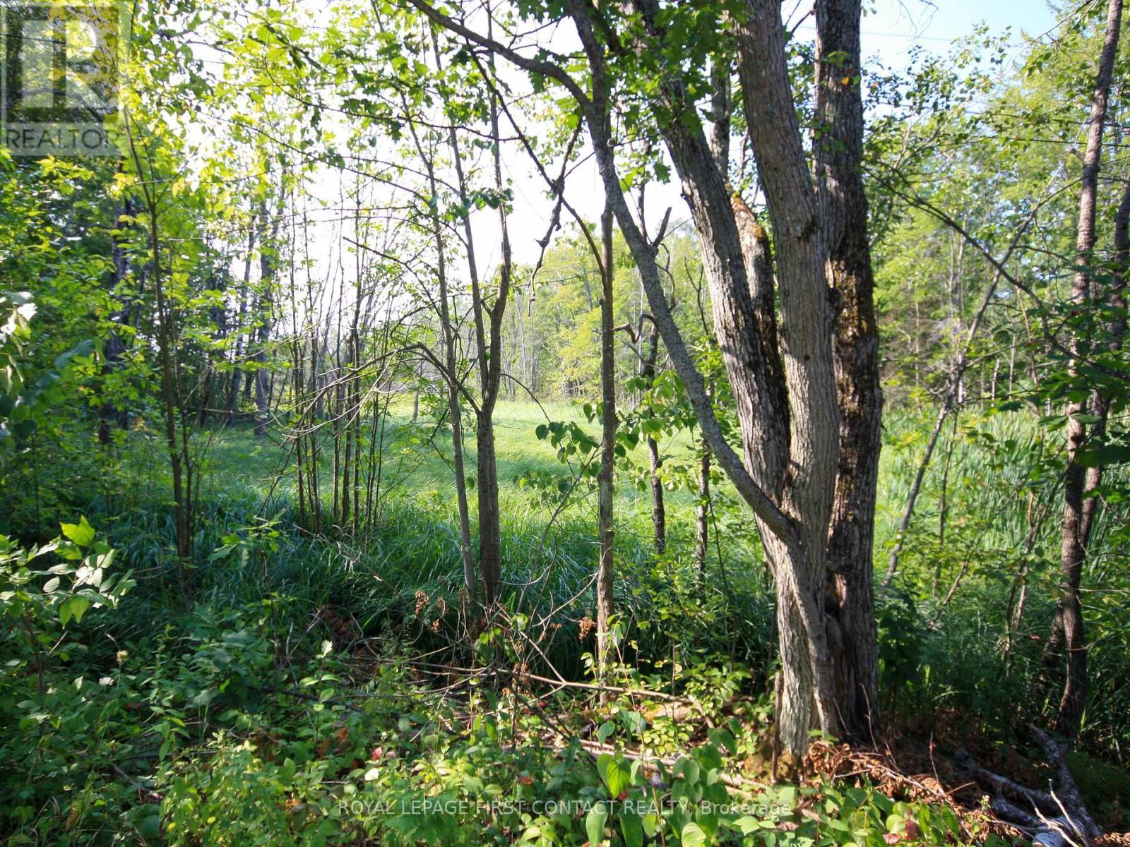 












30 BIRCH ACRES DRIVE

,
Georgian Bay,







Ontario
L0K1S0

