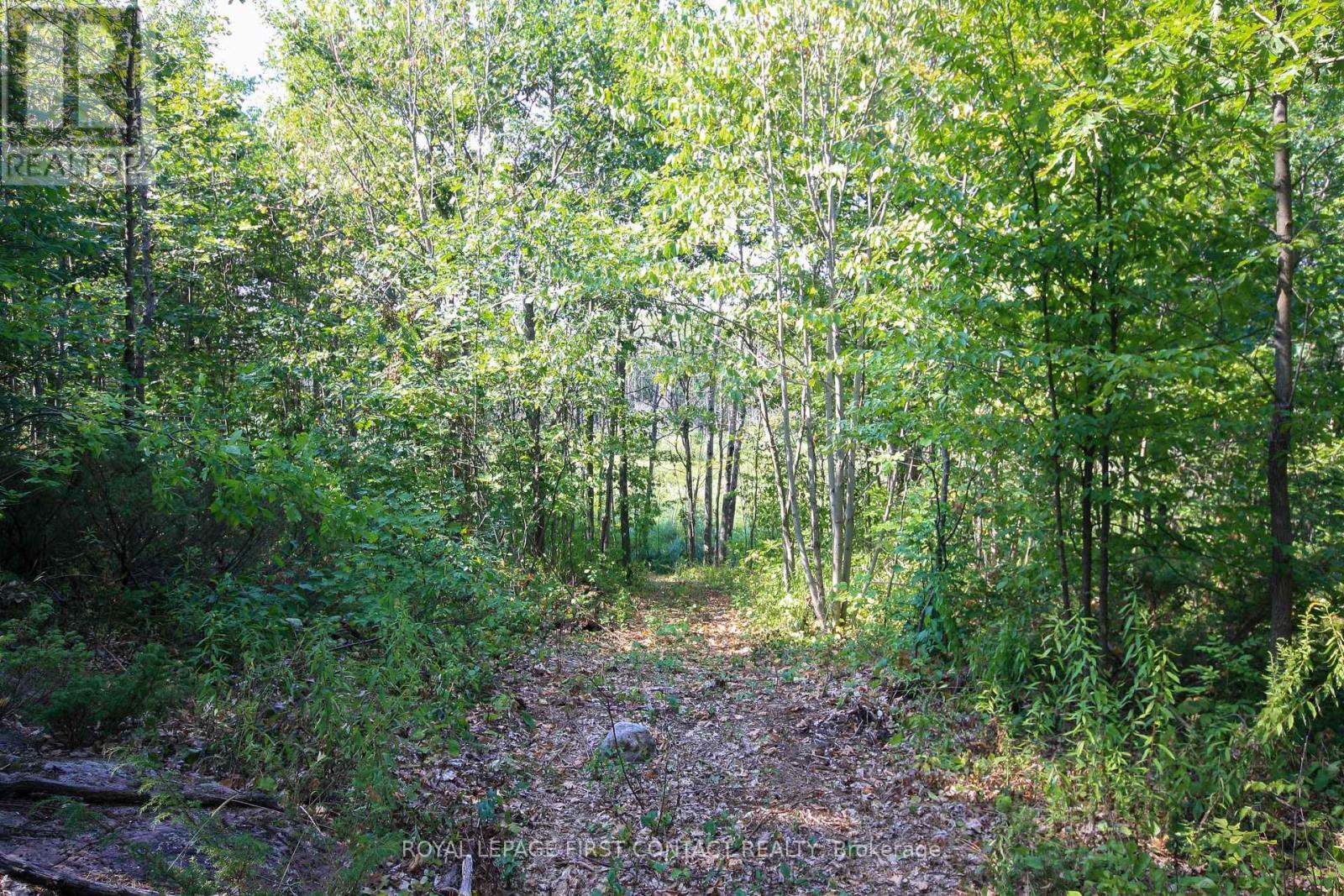 












30 BIRCH ACRES DRIVE

,
Georgian Bay,







Ontario
L0K1S0

