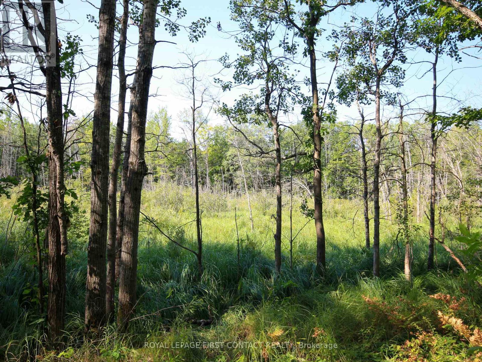 












30 BIRCH ACRES DRIVE

,
Georgian Bay,







Ontario
L0K1S0

