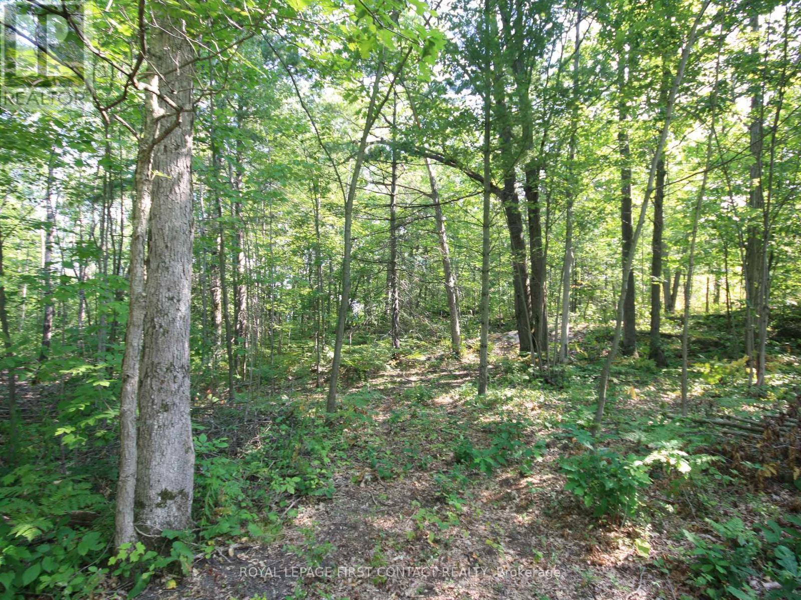 












30 BIRCH ACRES DRIVE

,
Georgian Bay,







Ontario
L0K1S0

