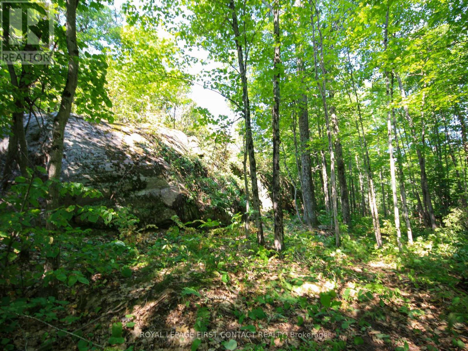 












30 BIRCH ACRES DRIVE

,
Georgian Bay,







Ontario
L0K1S0

