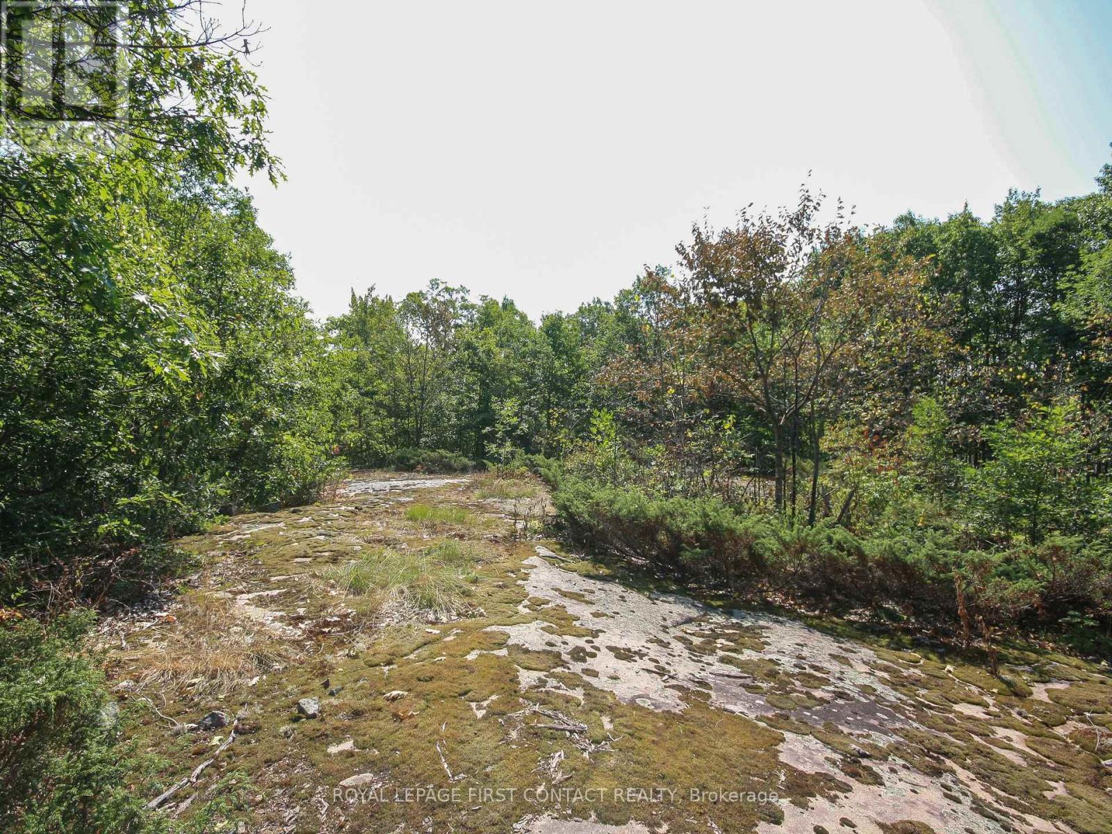 












30 BIRCH ACRES DRIVE

,
Georgian Bay,







Ontario
L0K1S0

