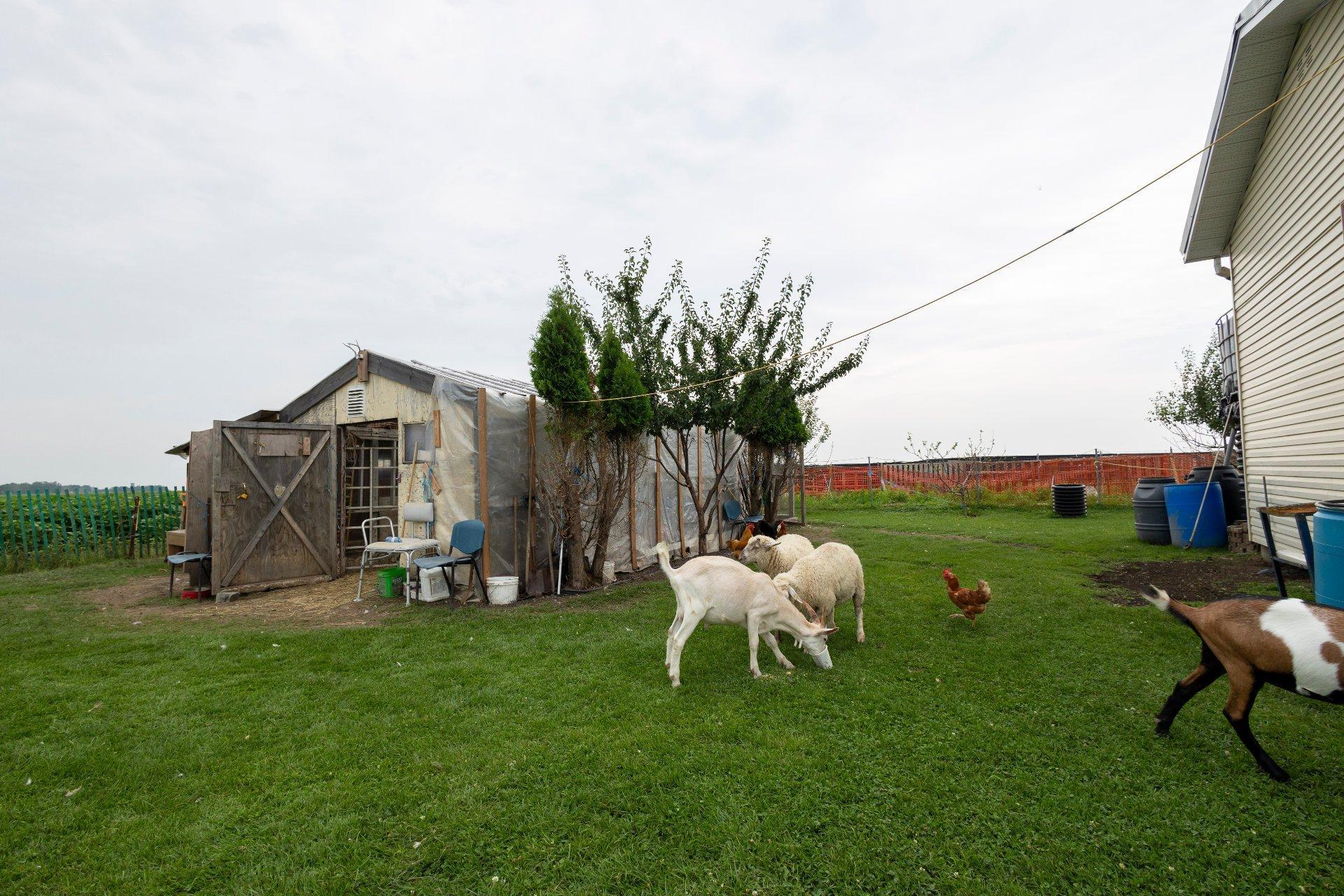 












Boul. Ste-Marguerite

,
Mercier,







QC
J6R2L1

