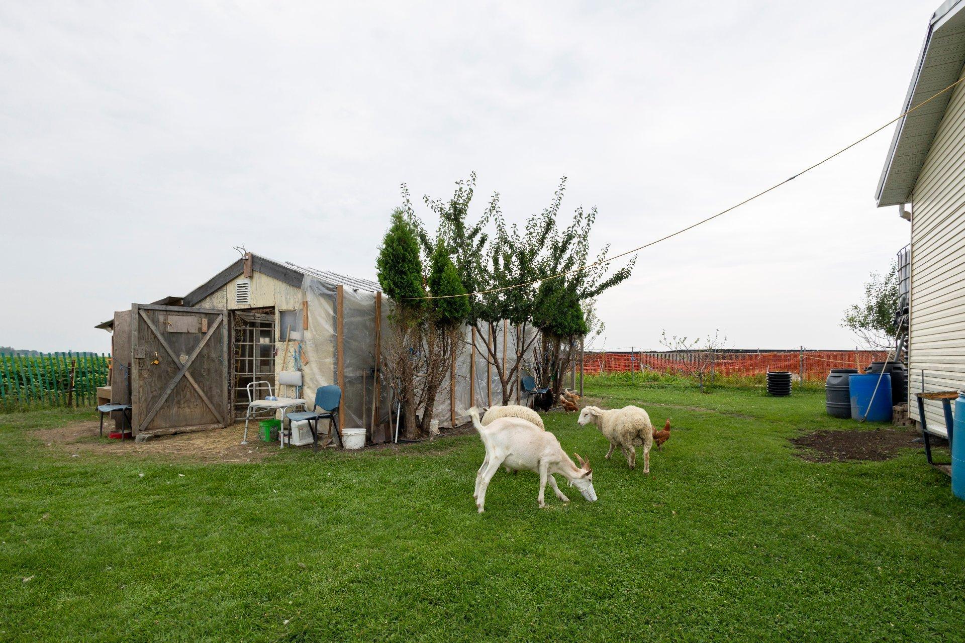 












Boul. Ste-Marguerite

,
Mercier,







QC
J6R2L1

