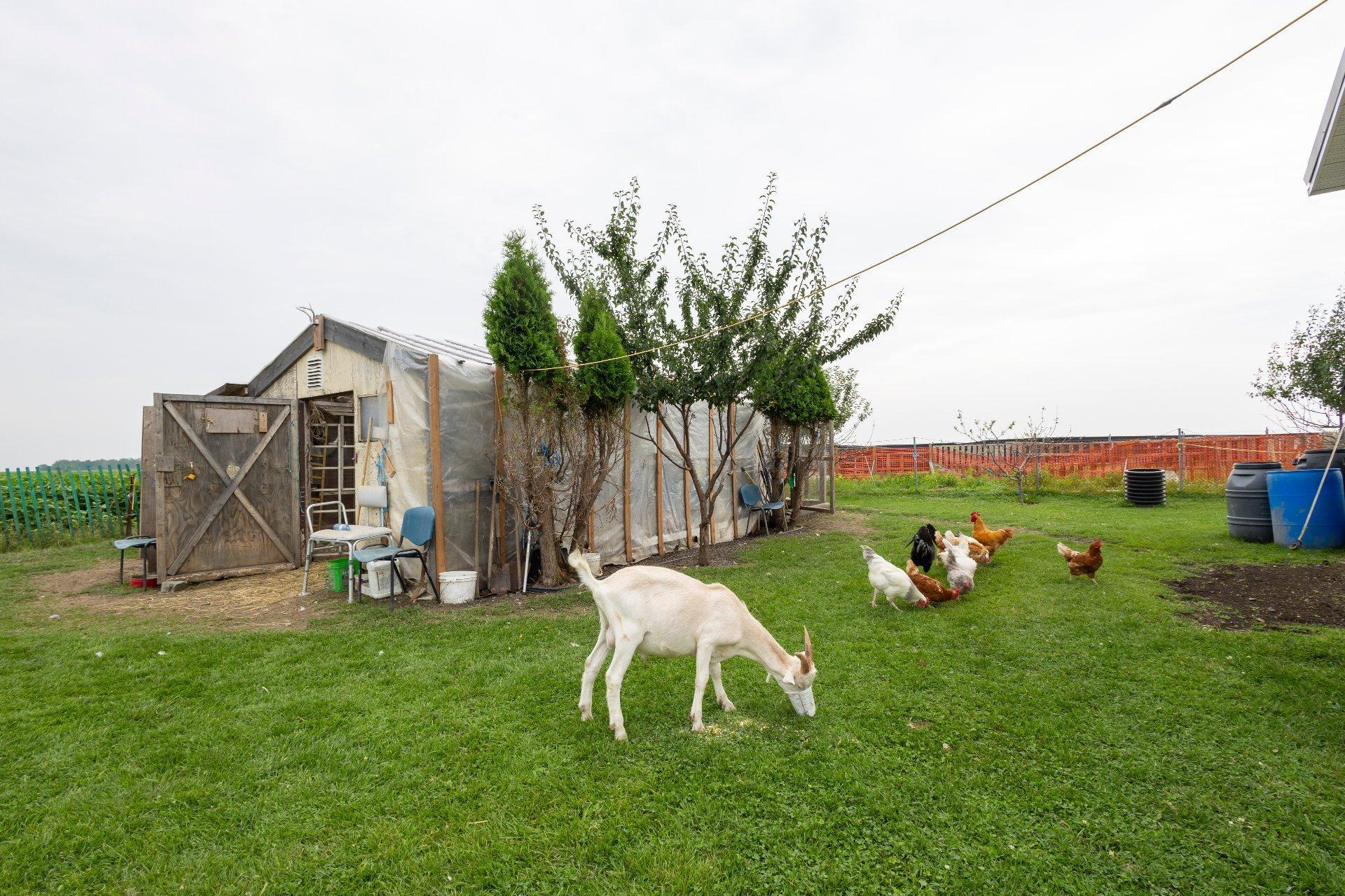 












Boul. Ste-Marguerite

,
Mercier,







QC
J6R2L1

