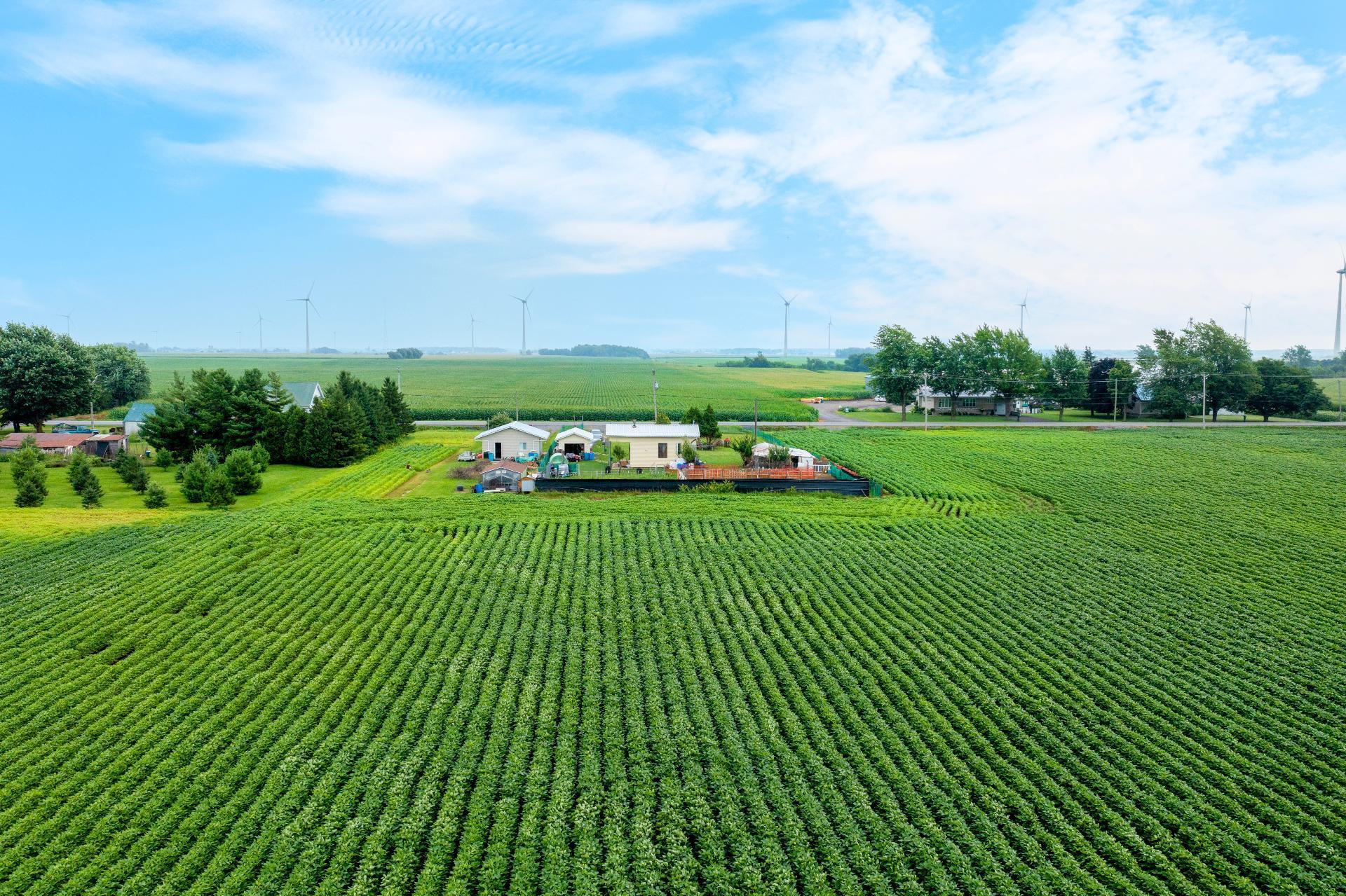 












Boul. Ste-Marguerite

,
Mercier,







QC
J6R2L1

