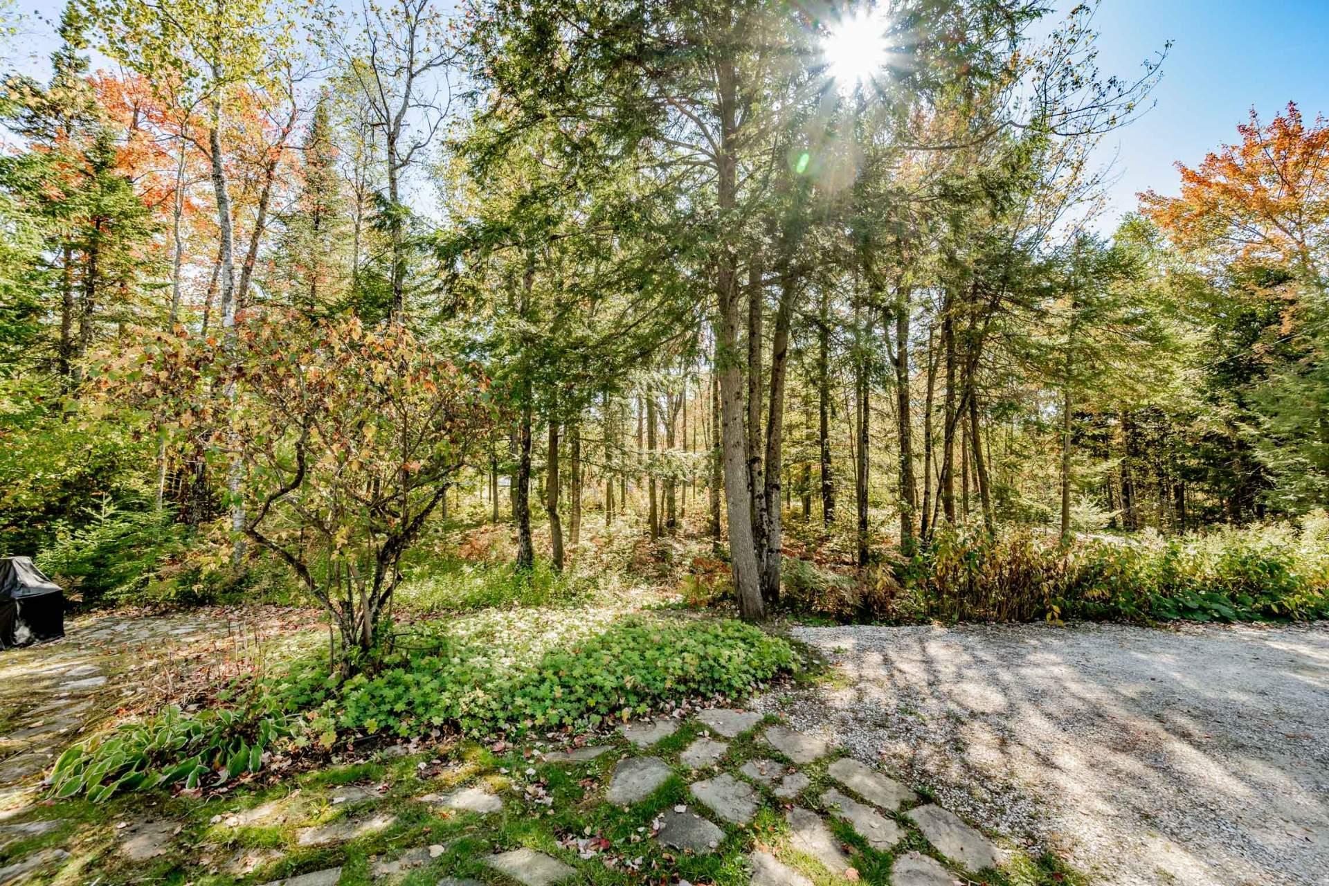 









3358


Rue des Arbrisseaux

,
Sherbrooke (Brompton/Rock Forest/Saint-Élie/Deauville),




QC
J1R0B4

