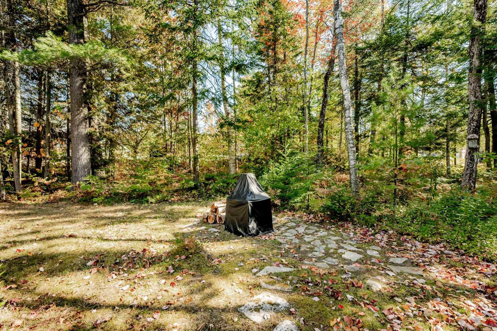 









3358


Rue des Arbrisseaux

,
Sherbrooke (Brompton/Rock Forest/Saint-Élie/Deauville),




QC
J1R0B4

