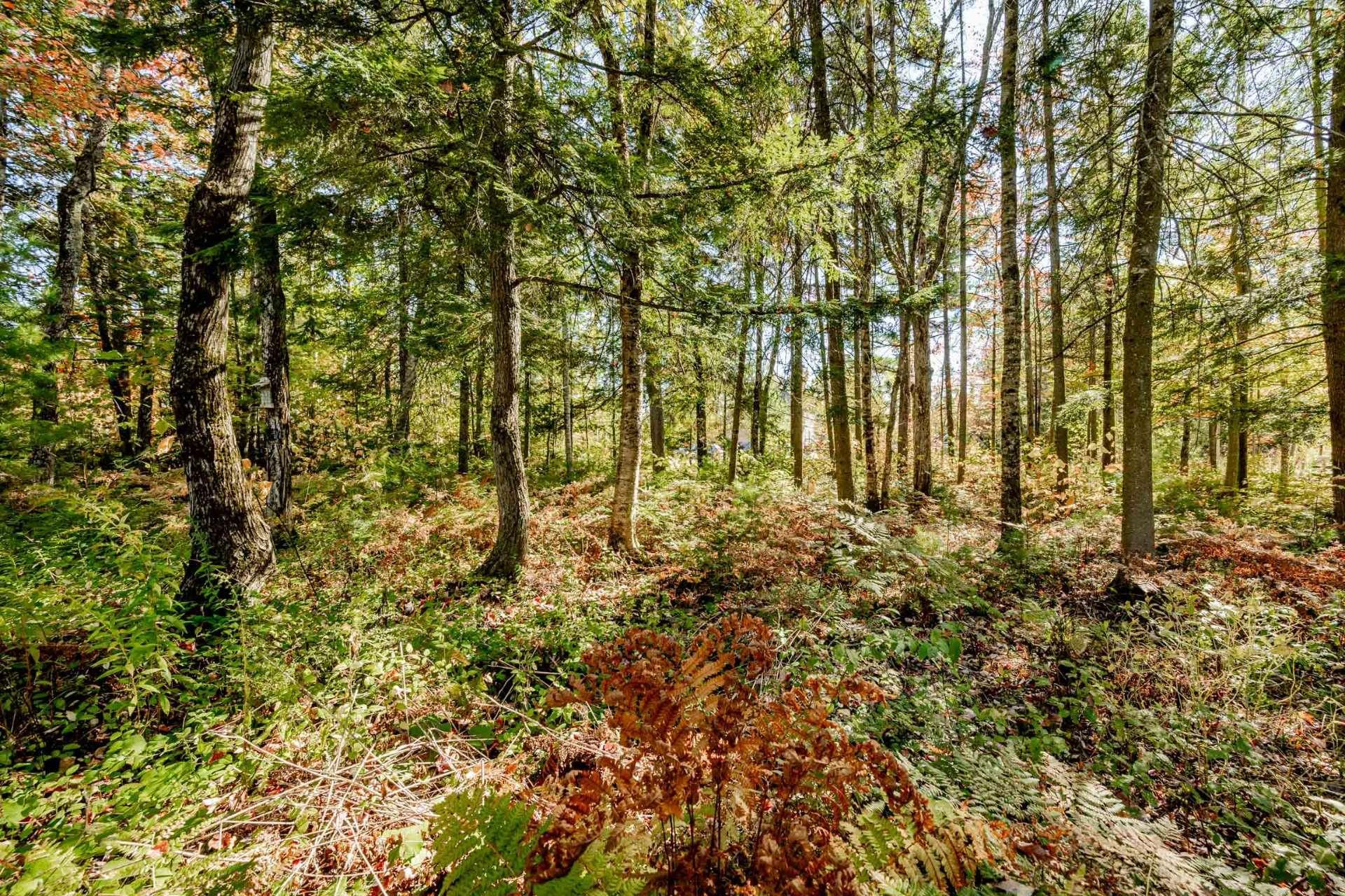 









3358


Rue des Arbrisseaux

,
Sherbrooke (Brompton/Rock Forest/Saint-Élie/Deauville),




QC
J1R0B4

