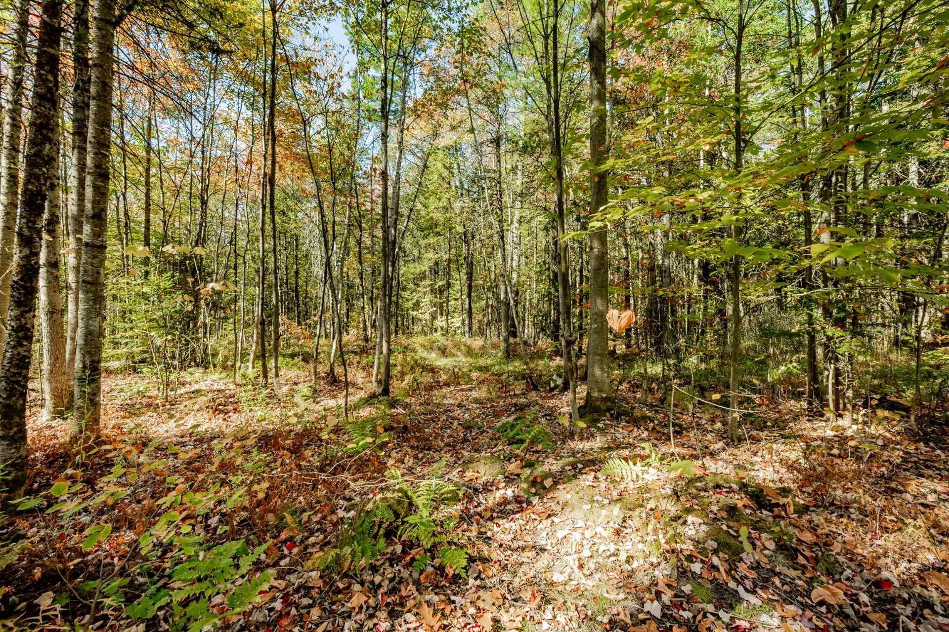 









3358


Rue des Arbrisseaux

,
Sherbrooke (Brompton/Rock Forest/Saint-Élie/Deauville),




QC
J1R0B4

