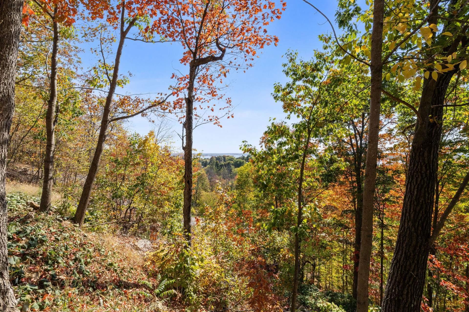 












Ch. du Panorama

,
Grenville-sur-la-Rouge,







QC
J0V1B0

