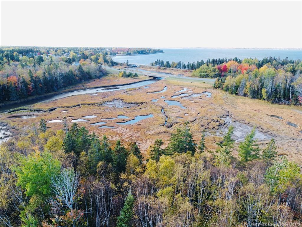 









490A


St Pierre Ouest

BLVD,
Caraquet,




NB
E1W 1A3

