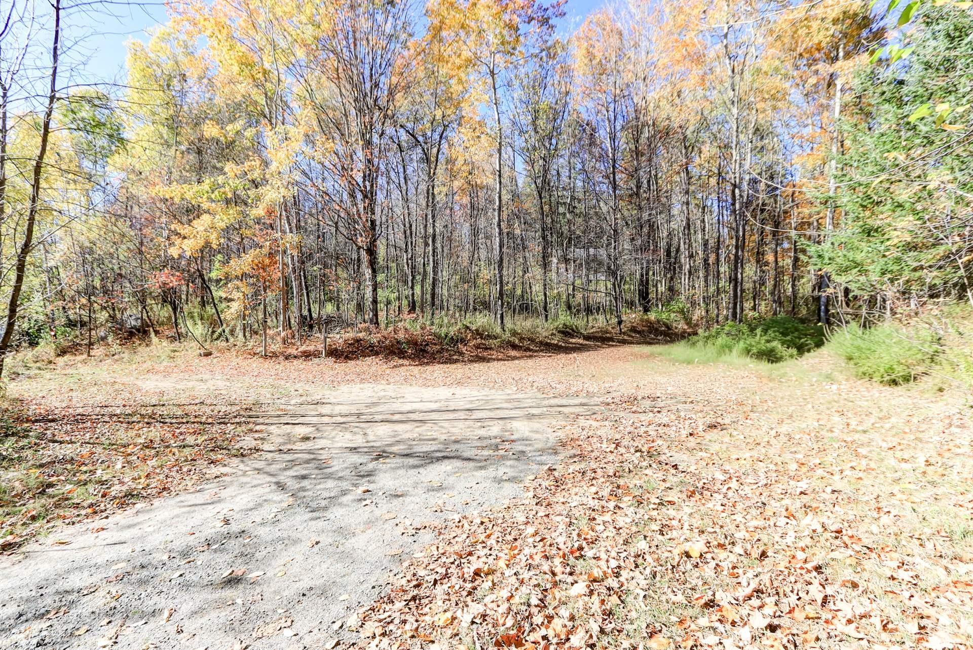 









242


Route du Lac-Rond N.

,
Montcalm,




QC
J0T2V0

