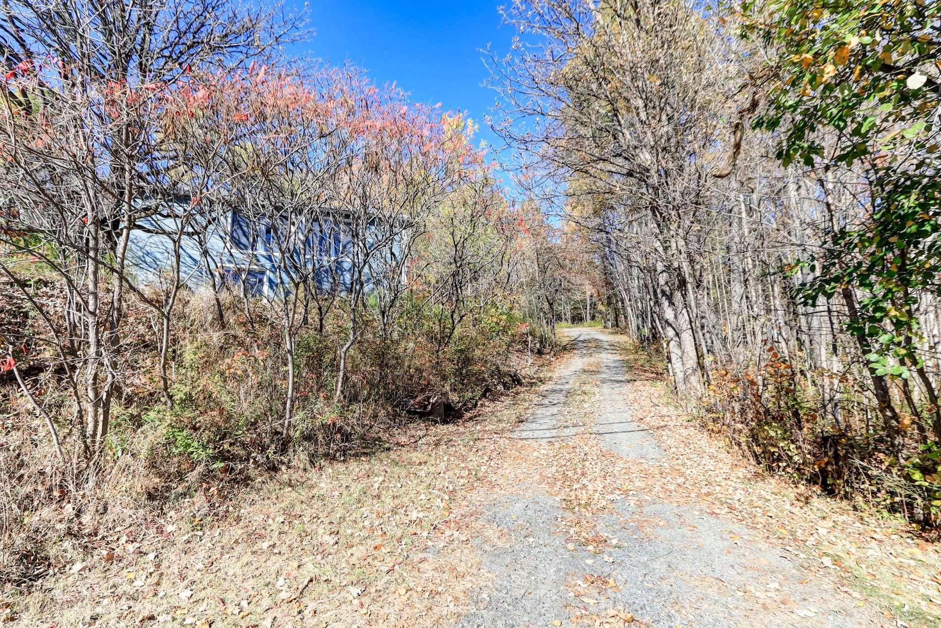 









242


Route du Lac-Rond N.

,
Montcalm,




QC
J0T2V0

