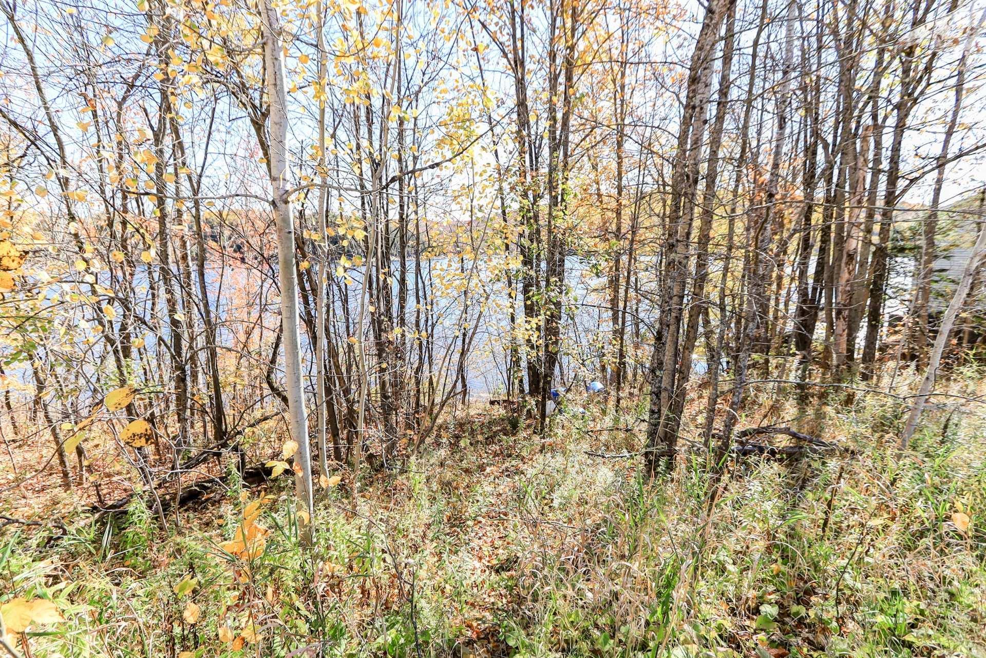 









242


Route du Lac-Rond N.

,
Montcalm,




QC
J0T2V0

