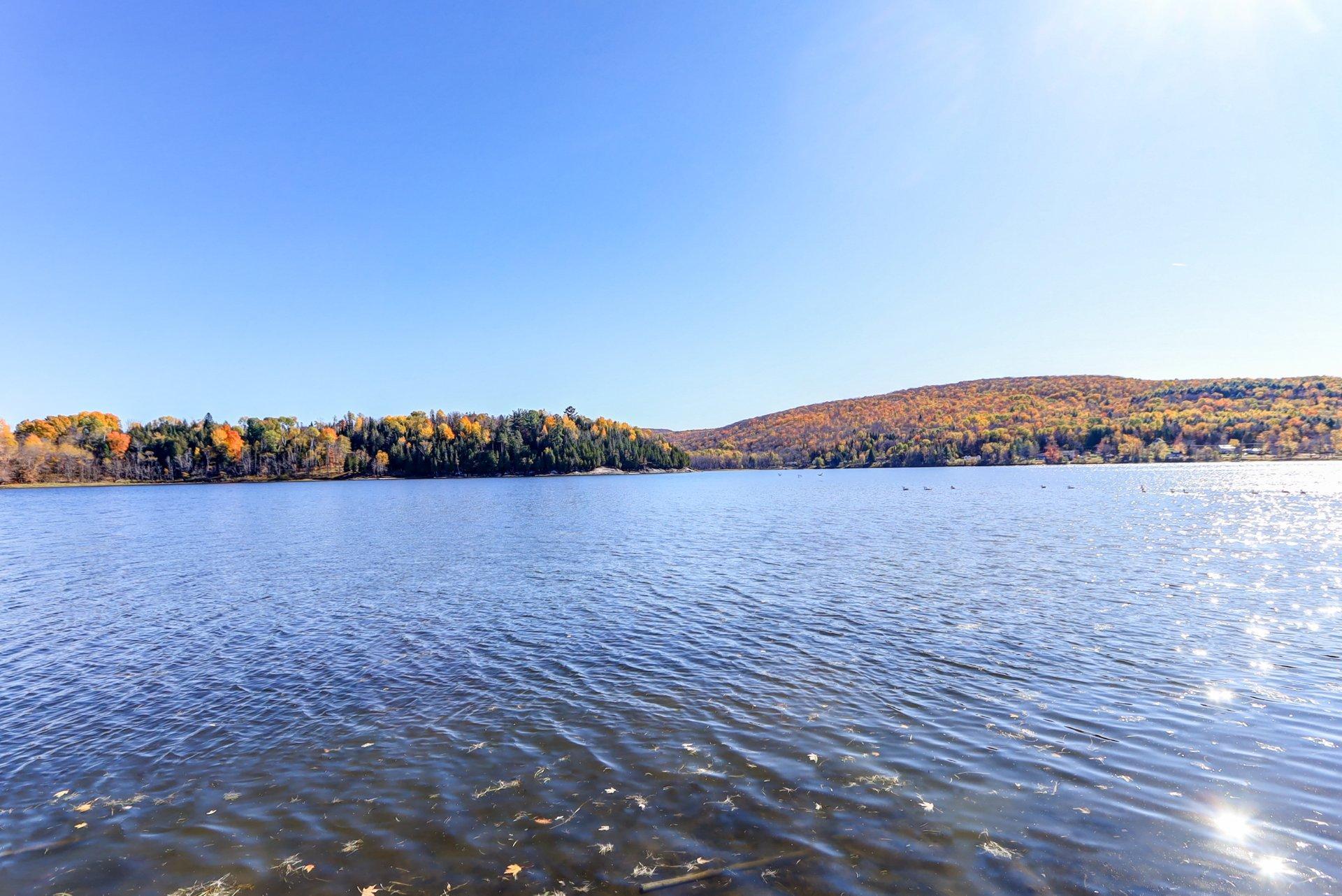 









242


Route du Lac-Rond N.

,
Montcalm,




QC
J0T2V0

