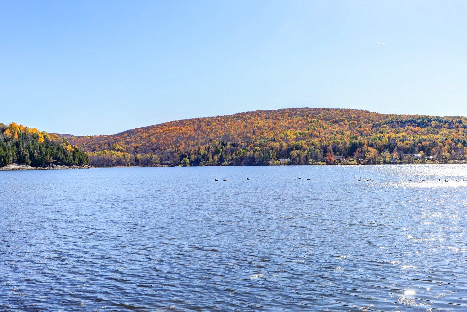 









242


Route du Lac-Rond N.

,
Montcalm,




QC
J0T2V0

