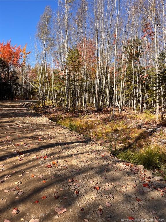 









Lot


Bells Mills

RD,
Richibouctou-Village,







NB
E4W 1B8

