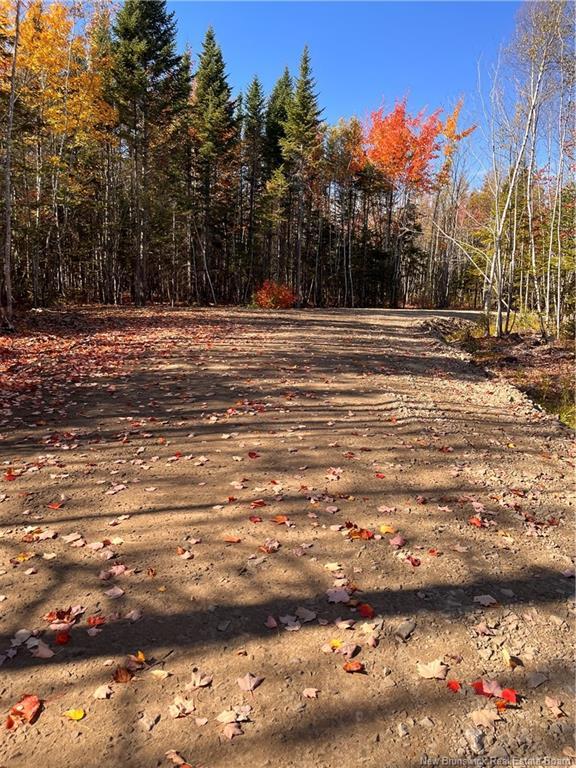 









Lot


Bells Mills

RD,
Richibouctou-Village,







NB
E4W 1B8

