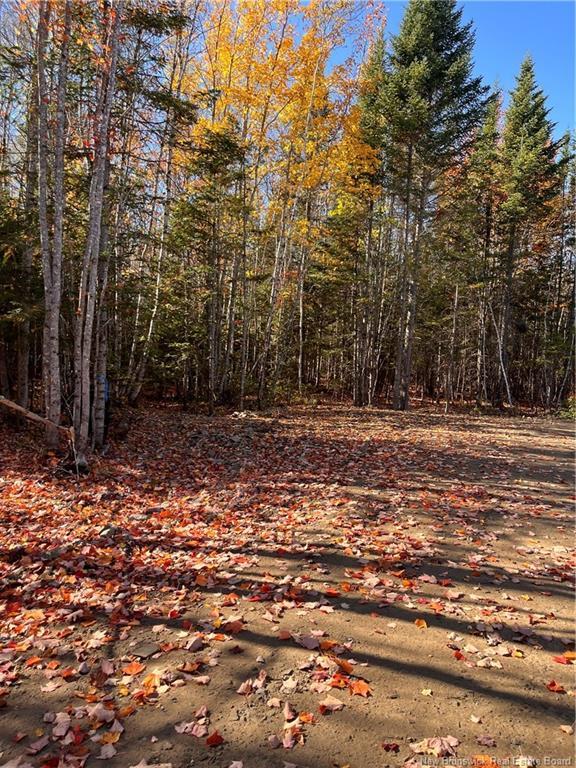 









Lot


Bells Mills

RD,
Richibouctou-Village,







NB
E4W 1B8

