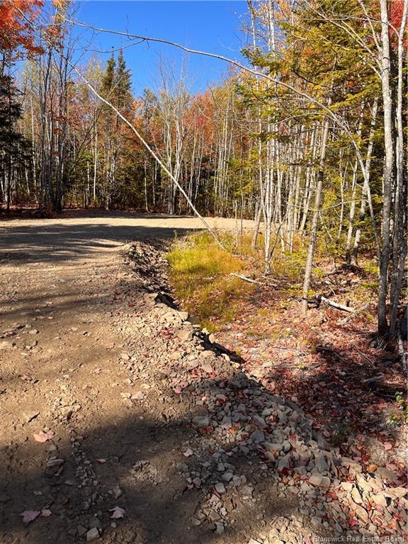 









Lot


Bells Mills

RD,
Richibouctou-Village,







NB
E4W 1B8

