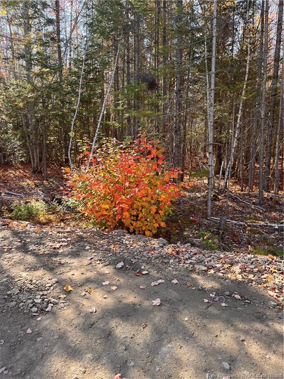 









Lot


Bells Mills

RD,
Richibouctou-Village,







NB
E4W 1B8

