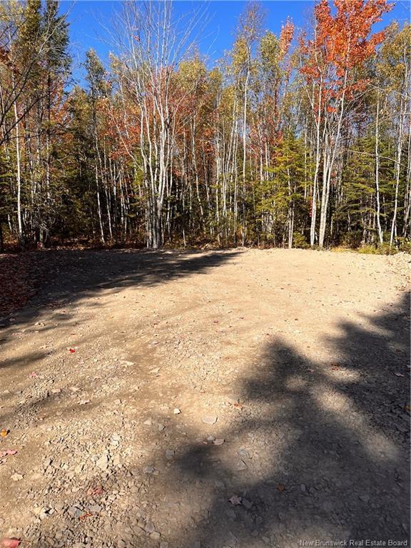 









Lot


Bells Mills

RD,
Richibouctou-Village,







NB
E4W 1B8

