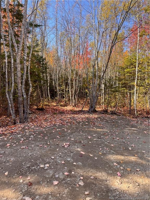 









Lot


Bells Mills

RD,
Richibouctou-Village,







NB
E4W 1B8


