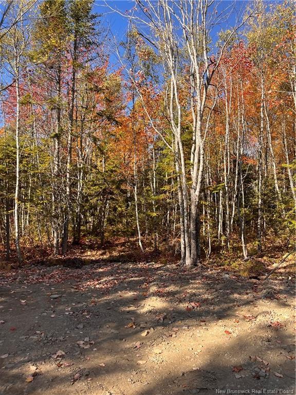 









Lot


Bells Mills

RD,
Richibouctou-Village,







NB
E4W 1B8

