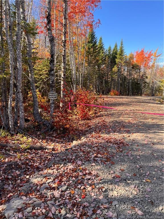 









Lot


Bells Mills

RD,
Richibouctou-Village,







NB
E4W 1B8

