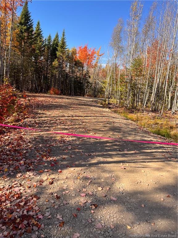 









Lot


Bells Mills

RD,
Richibouctou-Village,







NB
E4W 1B8

