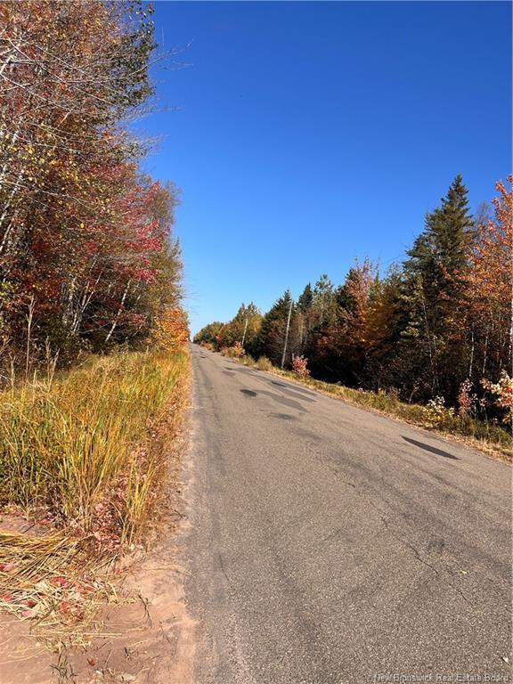 









Lot


Bells Mills

RD,
Richibouctou-Village,







NB
E4W 1B8

