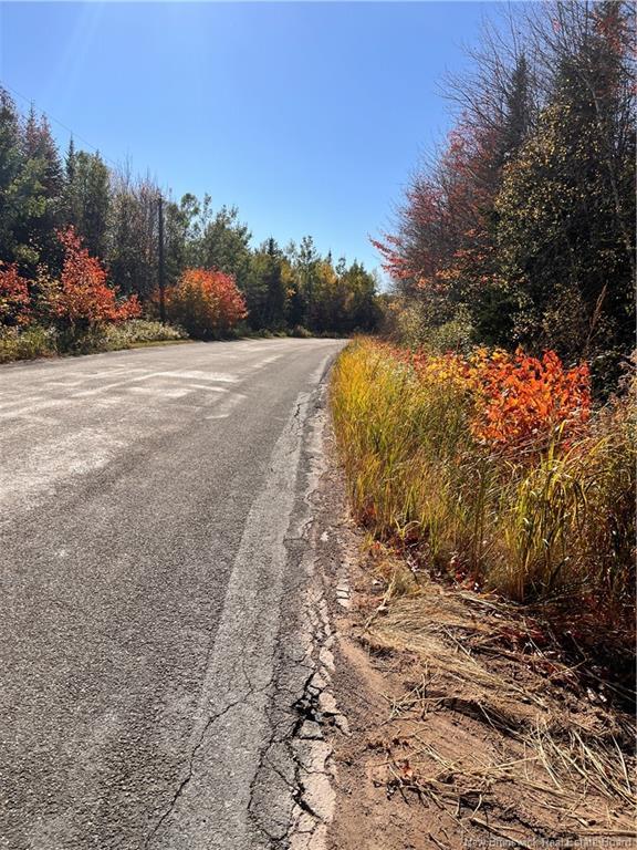 









Lot


Bells Mills

RD,
Richibouctou-Village,







NB
E4W 1B8

